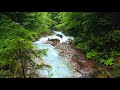 Calming Turquoise Forest River. (10 hours). White Noise for sleeping.