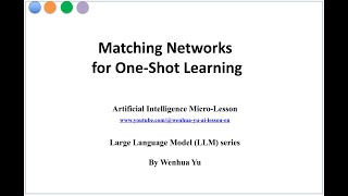 Matching Networks for One-shot Learning