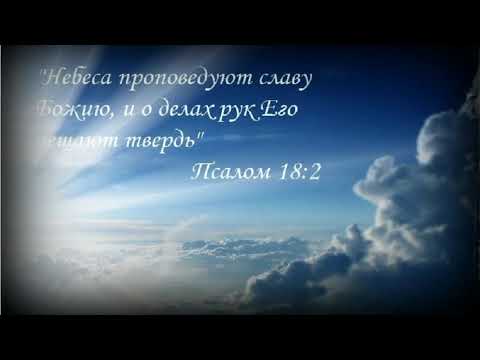 Были ли у Иисуса родные братья и сестры