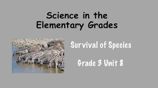 Sci Matters Gr 3 Unit 8 (Survival of Species)