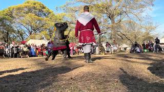 Centurion Decimus v. THL Hagan - Meridies Rose Tournament finals Gulf Wars 2026