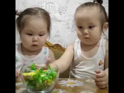 Видео: Конфеты не трогайте! ) Don't touch the candy!