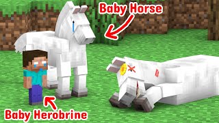 The Sad Life Of The Horse  Monster School Minecraft Animation