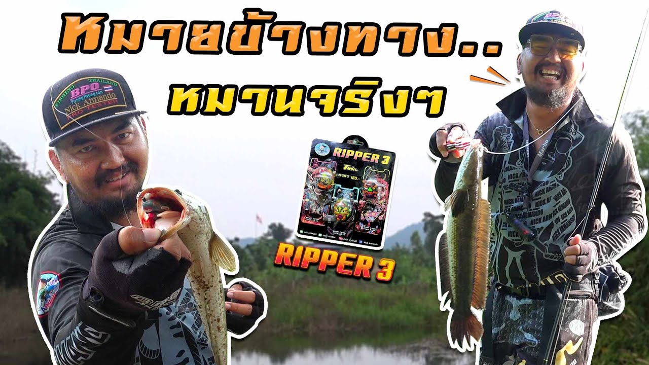 หมายข้างทางหมานจริงๆ