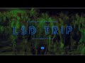 LSD Trip, DMT Trip, Marijuana Trip, Peyotte Trip, ACID TRIP.JUST RELAX, BREATHE AND BELIVE IN YOU!