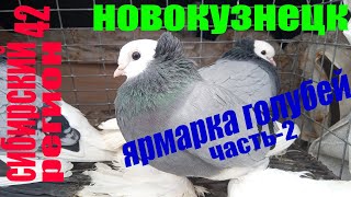 картинка: ЯРМАРКА ГОЛУБЕЙ НОВОКУЗНЕЦК (часть-2) март 2022г.