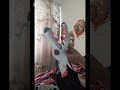 Ну мой кот в кадре