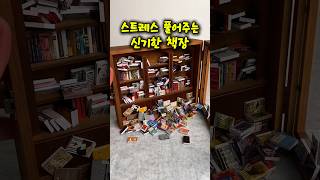 스트레스 풀어주는 신기한 책장 #쿠팡추천템 #스트레스해소 #힐링템 #생활꿀템