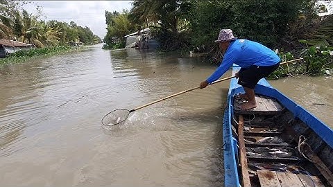 Test Kích Lạnh 60b Chuyên Thả Cáp Đánh Thuyền Cá Da Trơn Lên Đẹp Bảo Hành 8 Tháng