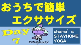 おうちで簡単ヨガ・エクササイズ chama's STAYHOME YOGA Day7