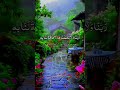 Quran pak beautiful tilawatquran ayatquran ayat with urdu translation