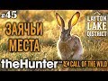 theHunter call of the wild #45 🔫 - Заячьи Места - Винтовка - Заяц