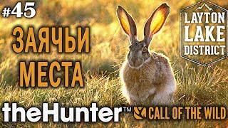 : theHunter call of the wild #45  -   -  - 