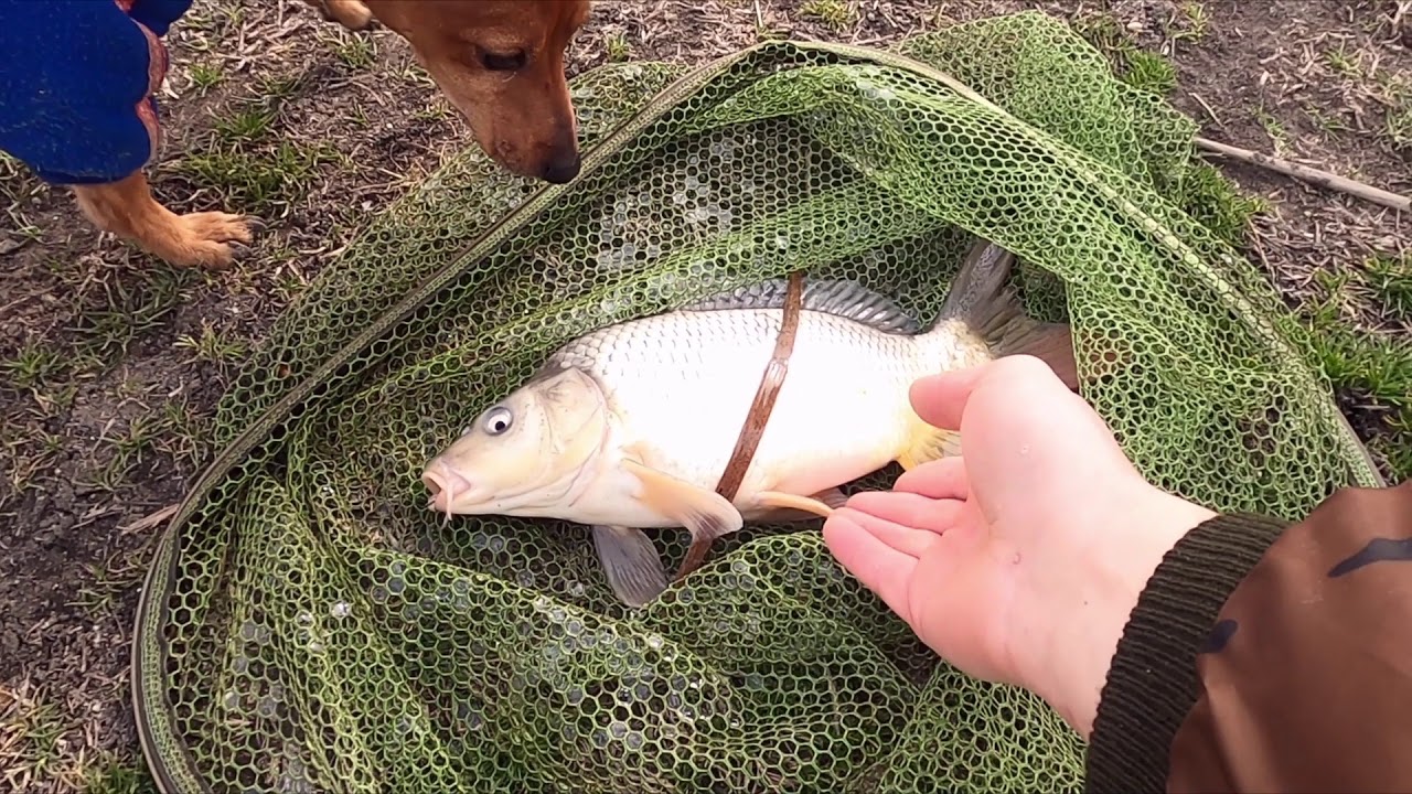 Рыбалка в Гура Быкулуй