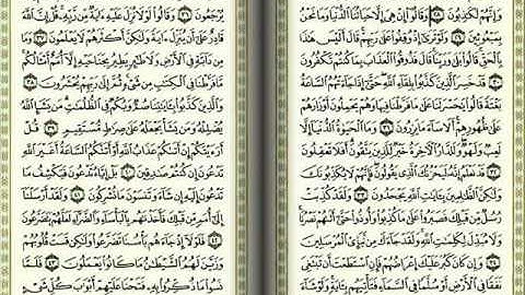 الآيآت 29 -35 من سورة الأنعآم بصوت الشيخ إدريس أبكر