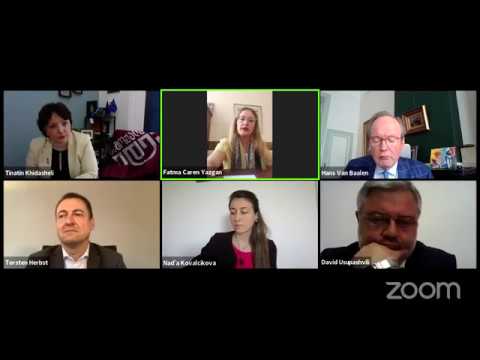 სამოქალაქო იდეას VI ვებინარი - „ლიბერალური შეხედულებები და პასუხები COVID-19 -ის კრიზისზე.