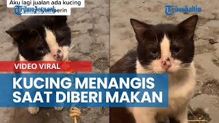 Viral Kucing Kelaparan, Terus Menatap dan Terlihat seperti Menangis saat Diberi Makanan