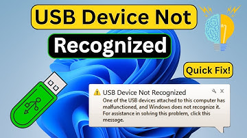 USB Device Not Recognized in Windows 11 | Easy Fixes!