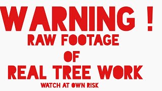 ( RAW )A-pine Part 3. srt climbing / spar work, Tip tying, Negative rigging,Tree removal process.
