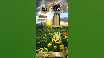 ستوري قرآن #هاشتاق #اكسبلور #الجمعة #تلاوات_رائعة #jumma #ksa #explore #ترند #حالاتواتس