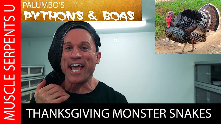 Monster Snakes on Thanksgiving 2017