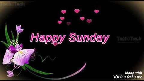 Happy Sunday WhatsApp status video Sunday status