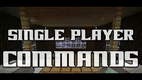Top 4 Single Player Commands For Fun (1.16 - 1.16.5)