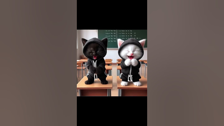 The Little Cat’s Courage: From Bullying to True Friendship