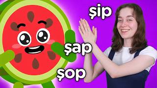🍉  Karpuz Adam ŞİP ŞAP ŞOP 🍉  | Çocuklar için Eğlenceli Dans Şarkısı | Karpuz Adam Şarkıları