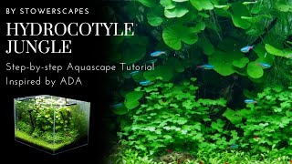 Hydrocotyle Jungle | StepbyStep HiTech Aquascape Tutorial | Inspired By ADA