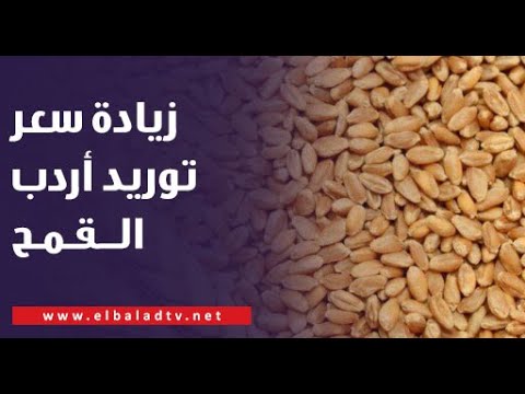 متحدث الوزراء يكشف تفاصيل قرار زيادة سعر توريد أردب القمح ل 2000 جنيه