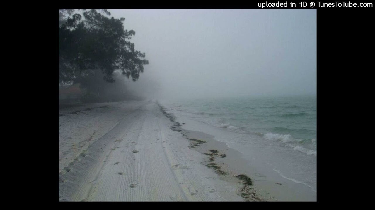 ambient plugg x  plugg @@@hashtaggg