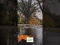دل روشنی دارم ای عشق صدایم کن از هر کجا می توانی