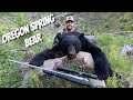 2 big bears down  oregon spring bear season 2020