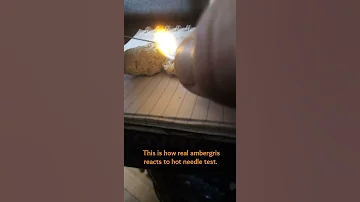 Ambergris Needle Test 