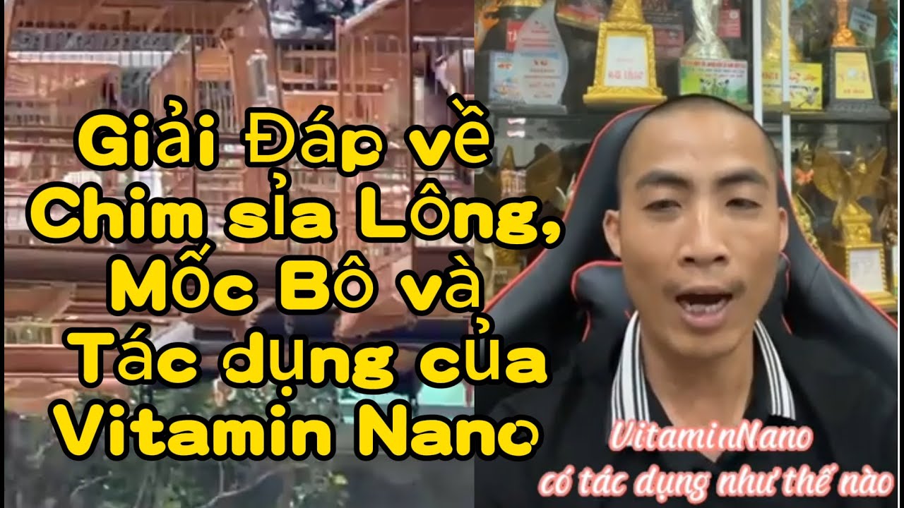 Giải đáp về Chim Sỉa Lông, Mốc bô và Tác dụng Vitamin ít ai biết