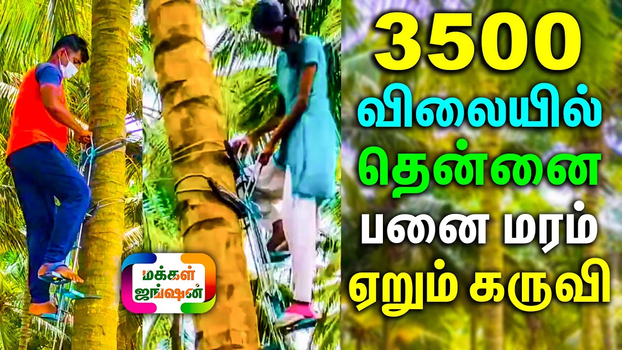 ரூ.3500 விலையில் தென்னைமரம், பனைமரம் ஏறும் கருவி ||Coconut tree climber||தென்னை மரம் ஏறும் இயந்திரம்