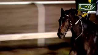 Vidéo de la course PMU PREMIO JUST SMILE