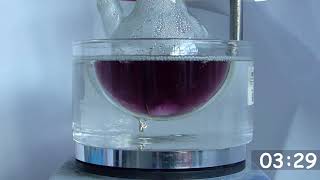 Synthesis of gold nanoparticles