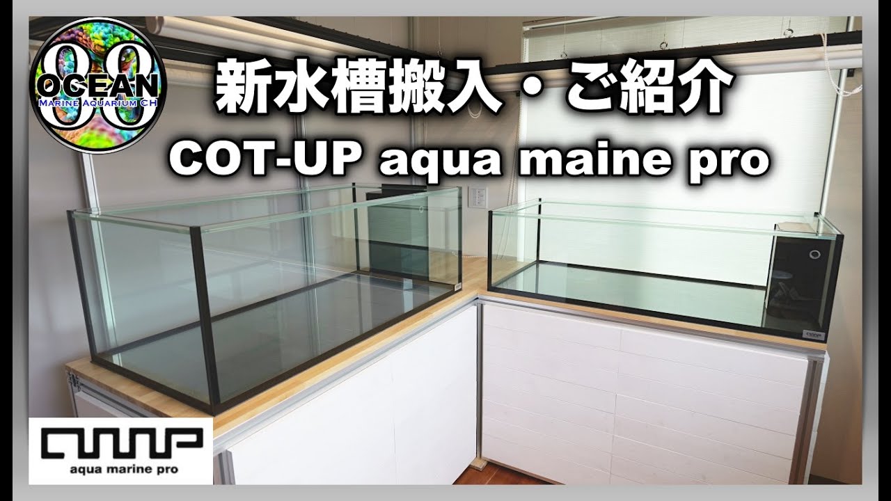 【海水魚水槽・サンゴ水槽】新水槽搬入　ご紹介　COT-UP aqua marine pro