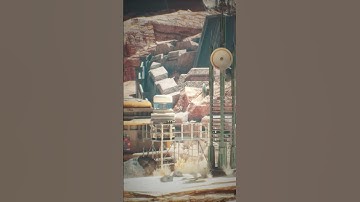 Ready to build your sci-fi world?🪐