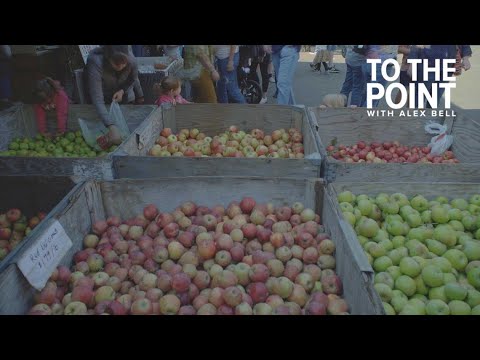 Apple Hill season begins | To The Point