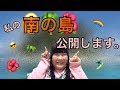 【初公開】キャバ嬢のお仕事でお客様から実は島をもらったので紹介します。