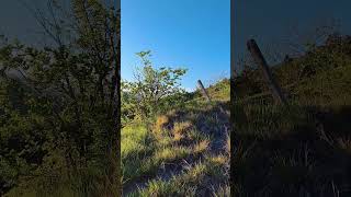 Natural view❤️🌿 #nature #mountains #relaxing #shortvideo #asmr #ytshorts#provincelife