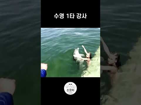 수영 1타 강사