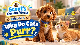 🐱 Why Do Cats Purr? | Scout’s Curious World screenshot 1