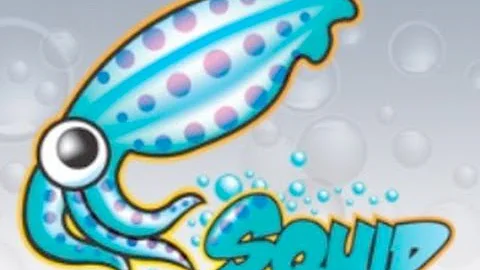 #16 Linux: SQUID as Transparent Proxy