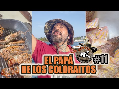 Nipo809Adventures #11 (El Papá De Los Coloraitos)