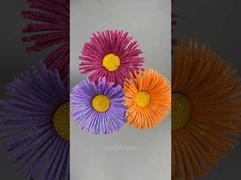 Lindas flores de
