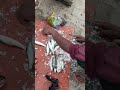 🐠 cutting #fishhuntingfishing #fish #cuttingskills #fishinglife #shorts #shortsfeed #trending #viral